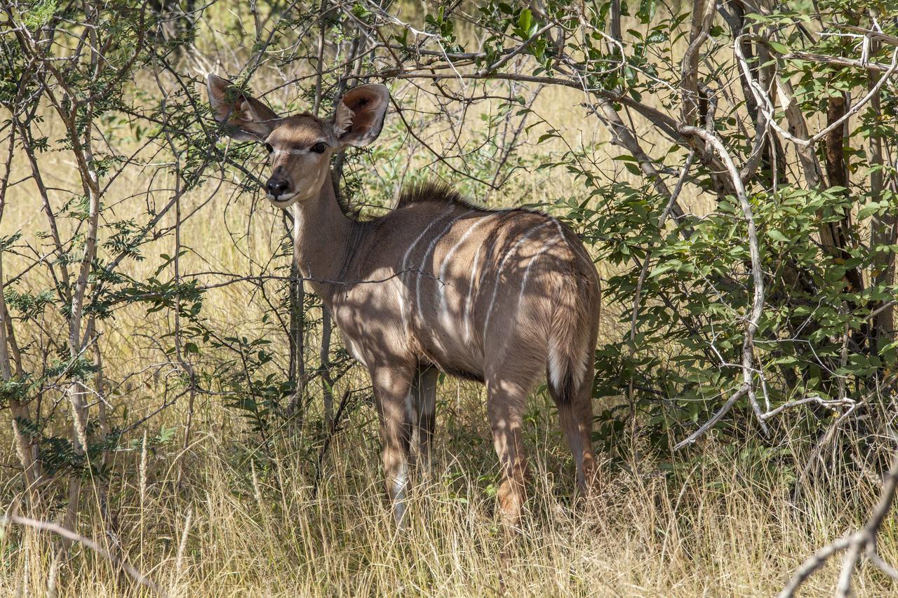 Omurenga Omaruru Bagian luar foto